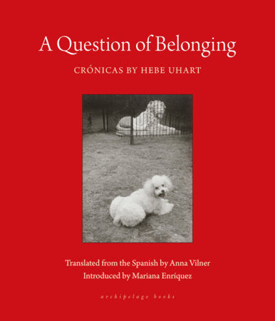 A Question of Belonging Paperback by Hebe Uhart