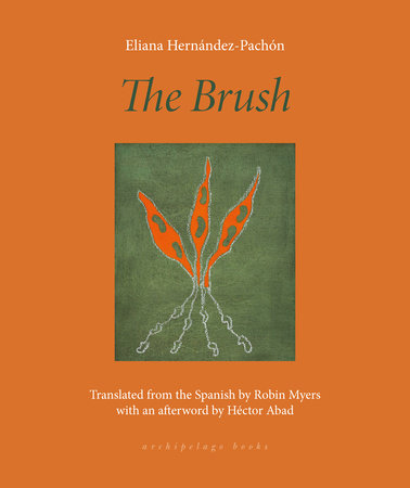 The Brush Paperback by Eliana Hernández-Pachón