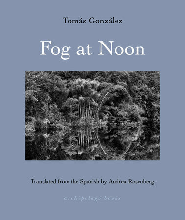 Fog at Noon Paperback by Tomás González