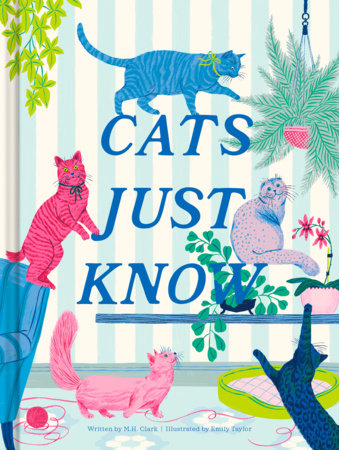 Cats Just Know Hardcover by Clark, M. H.