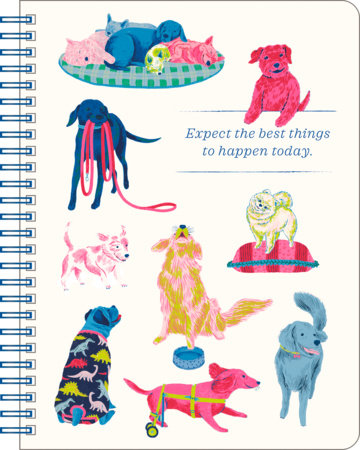Spiral Notebook: Expect the Best Things to Happen Today. Hardcover by Compendium