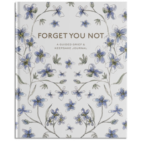 Forget You Not Hardcover by Brittany DeSantis