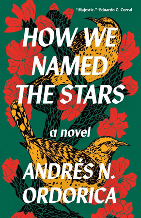 How We Named the Stars TR by Andrés N. Ordorica