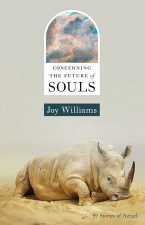 Concerning the Future of Souls HC by Joy Williams