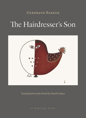 The Hairdresser’s Son Paperback by Gerbrand Bakker; translated from the Dutch by David Colmer