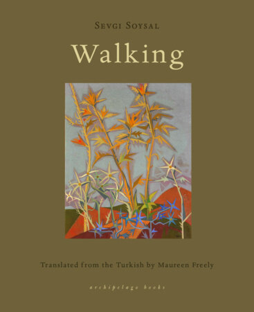 Walking Paperback by Sevgi Soysal, translated from the Turkish by Maureen Freely