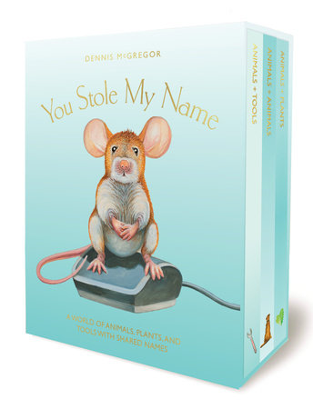 You Stole My Name Board Book Box Set Boxed Set by Dennis McGregor