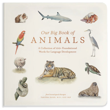 Our Big Book of Animals Board Book by Tabitha Paige MS CCC-SLP