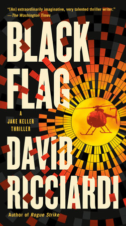 Black Flag Paperback by David Ricciardi