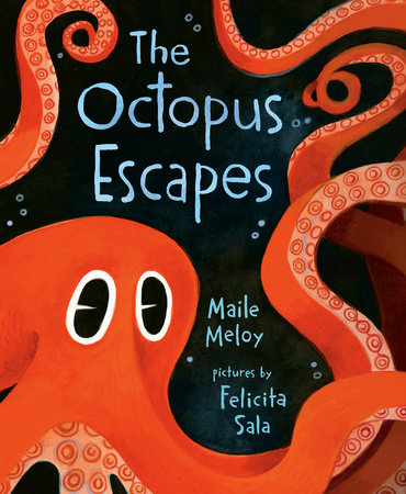 The Octopus Escapes HC by Maile Meloy; illustrated by Felicita Sala
