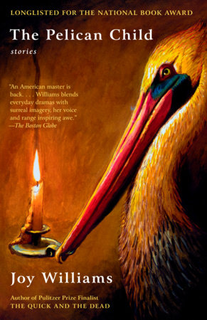 The Pelican Child Paperback by Joy Williams