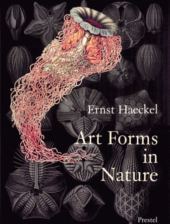 Art Forms in Nature Paperback by Contributions by Olaf Breidbach