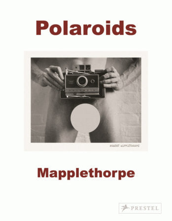 Robert Mapplethorpe Paperback by Sylvia Wolf