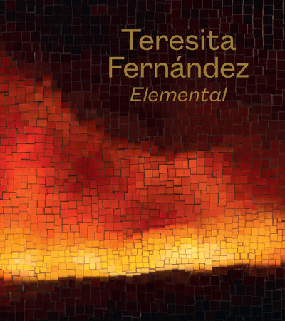 Teresita Fernández Hardcover by Amada Cruz, Franklin Sirmans, Maritza Sanchez, Gilbert Vicario