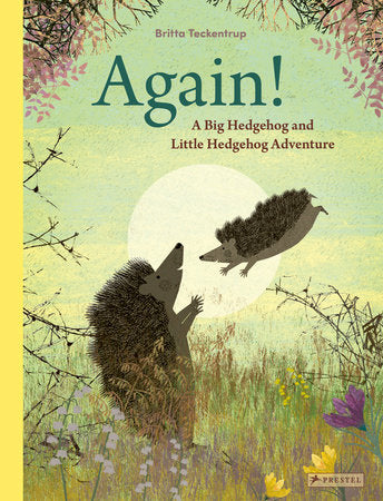 Again! Hardcover by Britta Teckentrup