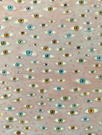 Francis Alÿs Hardcover by Florence Ostende