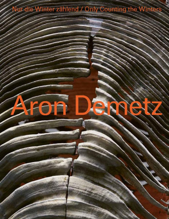 Aron Demetz Hardcover by With Contributions by Klaus Herold, Rupert König, Francesco Polo and Konstantin Rössler
