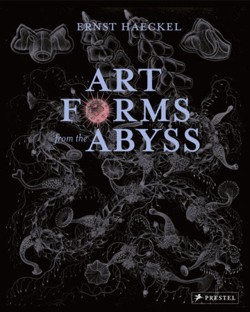Art Forms from the Abyss Paperback by Peter J Le B Williams