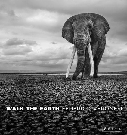 Walk the Earth Hardcover by Federico Veronesi