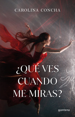 ¿Qué ves cuando me miras? / What Do You See When You Look at Me? Paperback by Carolina Concha
