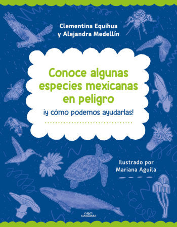 Conoce algunas especies mexicanas en peligro ¡y cómo podemos ayudarlas! / Discover Some Endangered Mexican Species Paperback by Clementina Equihua