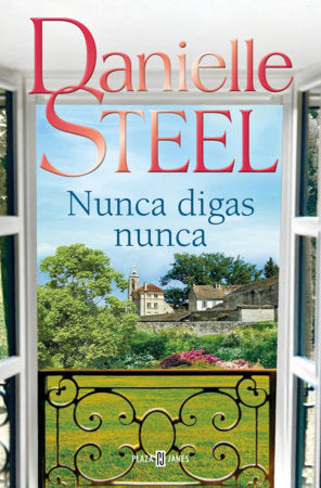 Nunca digas nunca / Never Say Never Paperback by Danielle Steel