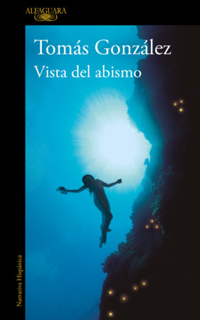 Vista del abismo / View from the Abyss Paperback by Tomás González