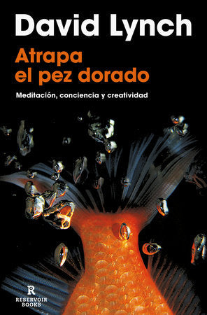 Atrapa el pez dorado / Catching The Big Fish Paperback by David Lynch