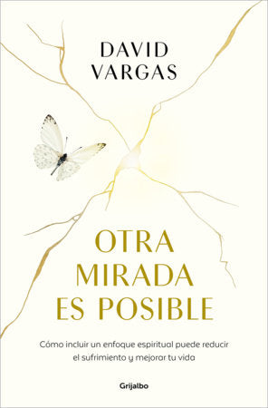 Otra mirada es posible / Another Perspective is Possible Paperback by David Vargas