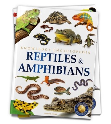 Reptiles and Amphibians : Knowledge Encyclopedia For Children Paperback by Wonder House Books