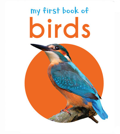 My First Book of Birds: First Board Book Board Book by Wonder House Books