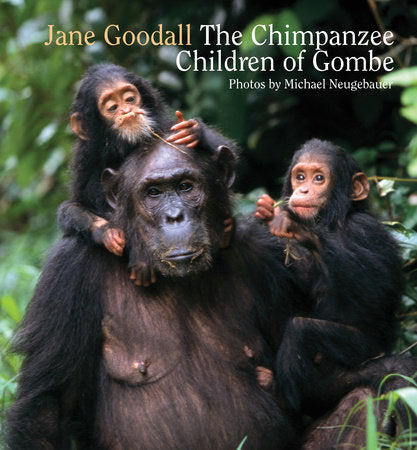 Chimpanzee Children of Gombe Hardcover by Jane Goodall, photographs by Michael Neugebauer