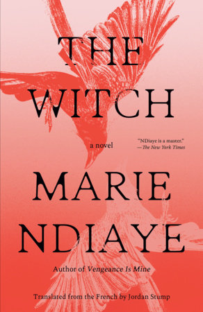The Witch Paperback by Marie NDiaye Translated by Jordan Stump