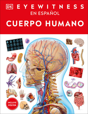 Eyewitness: Cuerpo humano (Human Body) Hardcover by DK