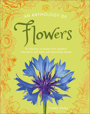An Anthology of Flowers Hardcover by Maddie Bailey