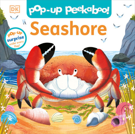 Pop-Up Peekaboo! Seashore Board Book by DK