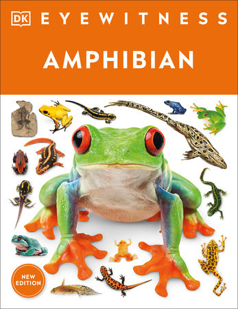 Eyewitness Amphibian Paperback by DK