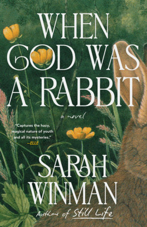 When God Was a Rabbit Paperback by Sarah Winman