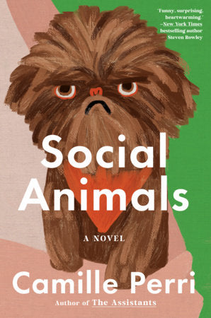 Social Animals Hardcover by Camille Perri