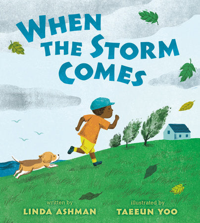 When the Storm Comes Paperback by Linda Ashman; illustrated by Taeeun Yoo