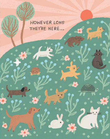 Love Muchly Greeting Cards: Pet Sympathy - However Long They're Here (Pack of 6) Merchandise by Compendium