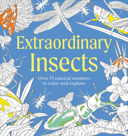 Extraordinary Insects Coloring Book Paperback by DK