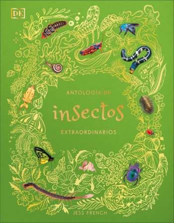 Antología de insectos extraordinarios (An Anthology of Remarkable Bugs) Hardcover by Jess French