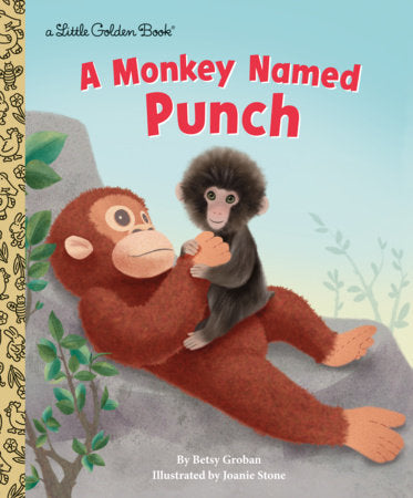 A Monkey Named Punch Hardcover by Betsy Groban; illustrated by Joanie Stone