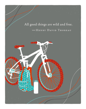 Positively Green Greeting Cards: Birthday - All good things are wild and free (Pack of 6) Merchandise by Compendium