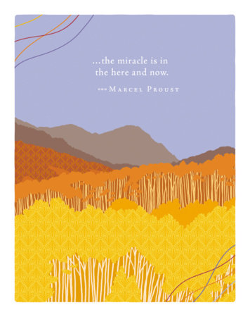 Positively Green Greeting Cards: Birthday - The miracle is in the here and now. (Pack of 6) Merchandise by Compendium