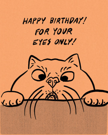 Humor Us Greeting Cards: Birthday - Happy Birthday! For your eyes only! (Pack of 6) Merchandise by Compendium