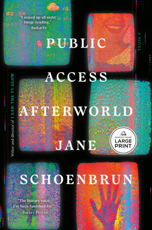Public Access Afterworld Paperback by Jane Schoenbrun