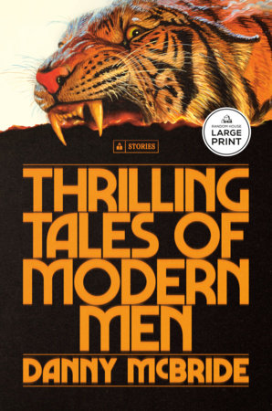Thrilling Tales of Modern Men Paperback by Danny McBride
