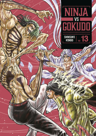 Ninja Vs. Gokudo 13 Paperback by Shinsuke Kondo
